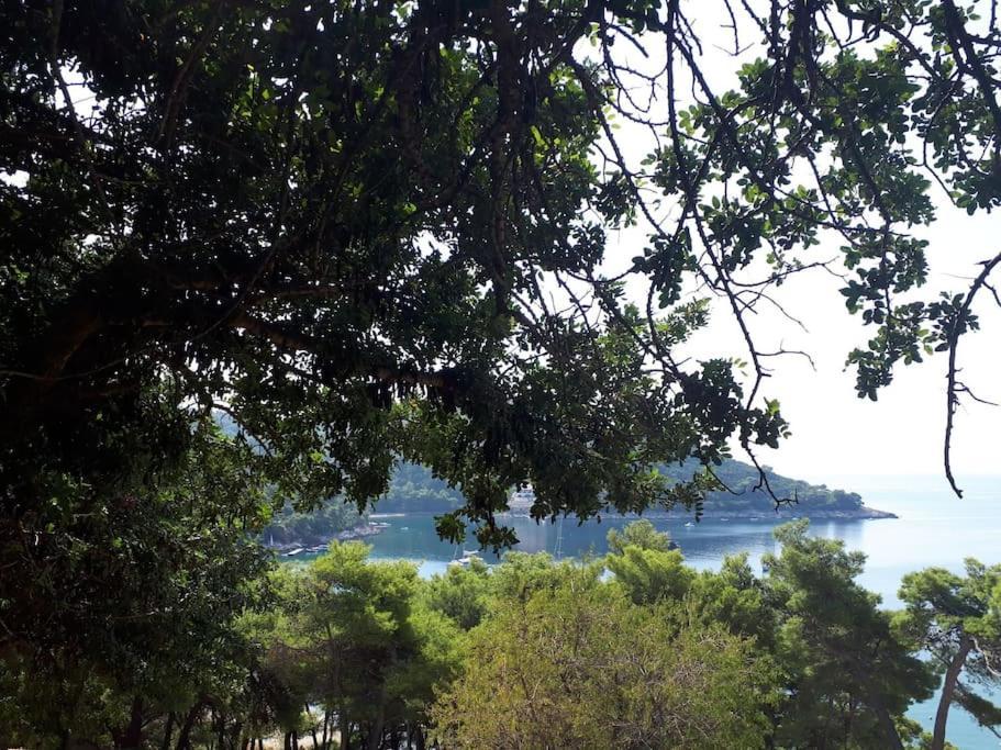 Apartment Kristic - Saplunara, Mljet Babino Polje Экстерьер фото