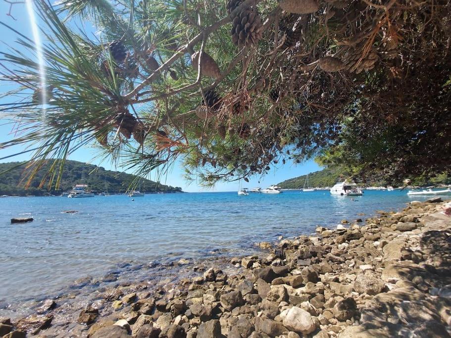 Apartment Kristic - Saplunara, Mljet Babino Polje Экстерьер фото