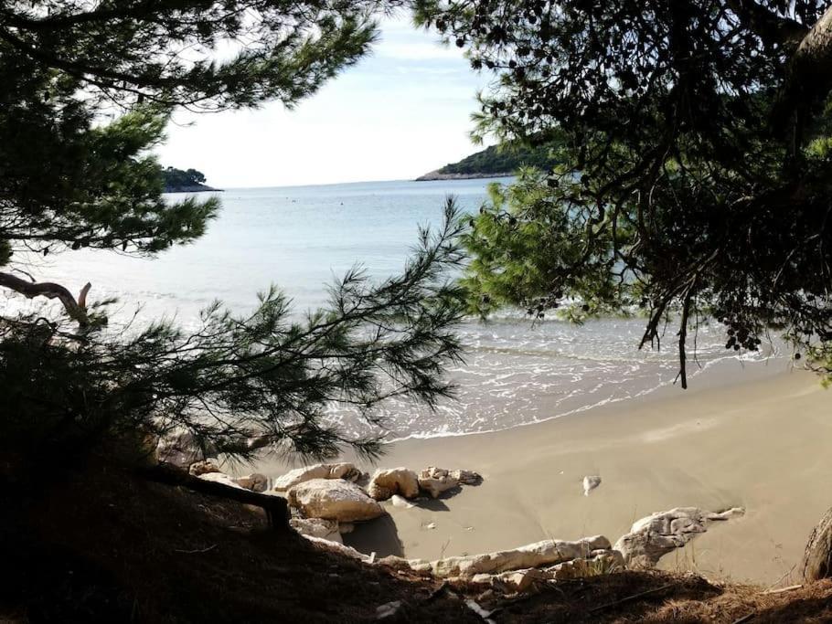 Apartment Kristic - Saplunara, Mljet Babino Polje Экстерьер фото