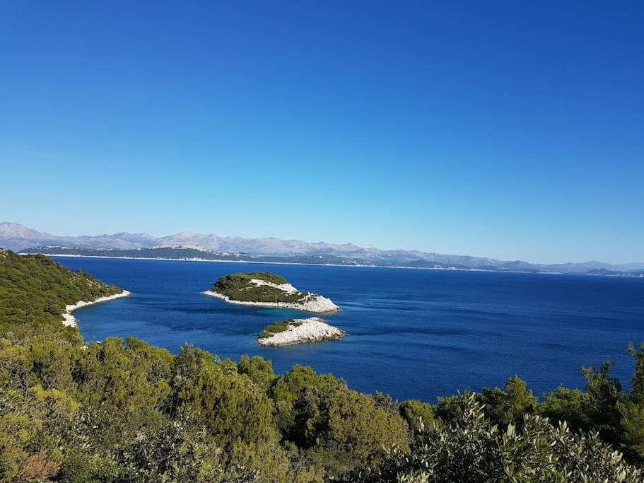 Apartment Kristic - Saplunara, Mljet Babino Polje Экстерьер фото