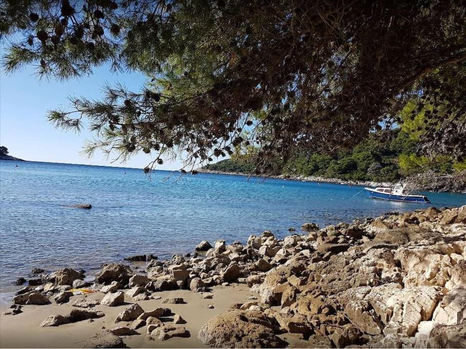 Apartment Kristic - Saplunara, Mljet Babino Polje Экстерьер фото